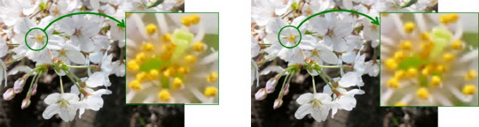 ¼Ò´Ï, 0.5ÀÎÄ¡ ÃʰíÇØ»óµµ OLED ¸¶ÀÌÅ©·Î µð½ºÇ÷¹ÀÌ 11¿ù ¾ç»ê ¼Ò´Ï, 0.5ÀÎÄ¡ ÃʰíÇØ»óµµ OLED ¸¶ÀÌÅ©·Î µð½ºÇ÷¹ÀÌ 11¿ù ¾ç»ê